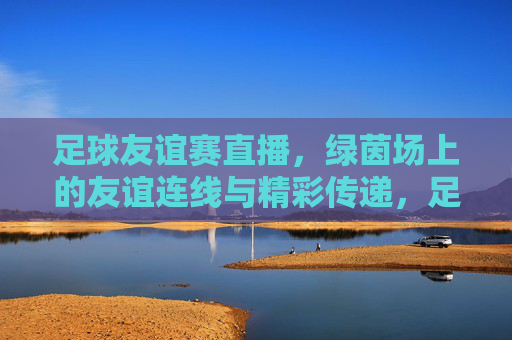 足球友谊赛直播，绿茵场上的友谊连线与精彩传递，足球友谊赛直播，绿茵场上的友谊连线与精彩传递
