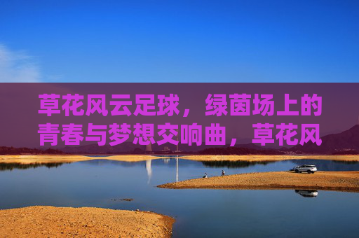 草花风云足球，绿茵场上的青春与梦想交响曲，草花风云足球，绿茵场上的青春与梦想交响曲