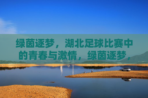 绿茵逐梦,湖北足球比赛中的青春与激情,绿茵逐梦,湖北足球比赛中的青春与激情