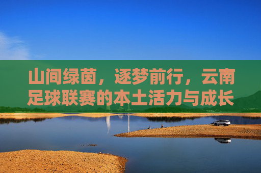 山间绿茵,逐梦前行,云南足球联赛的本土活力与成长之路,山间绿茵,逐梦前行,云南足球联赛的本土活力与成长之路