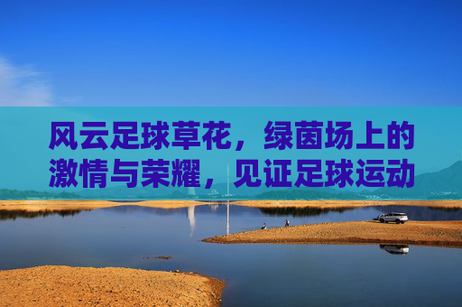 风云足球草花，绿茵场上的激情与荣耀，见证足球运动的无限魅力，风云足球草花，绿茵场上的激情与荣耀，见证足球运动的无限魅力
