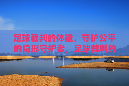 足球裁判的体能,守护公平的隐形守护者,足球裁判的体能,守护公平的隐形守护者