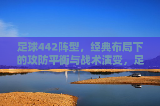 足球442阵型,经典布局下的攻防平衡与战术演变,足球442阵型,经典布局下的攻防平衡与战术演变