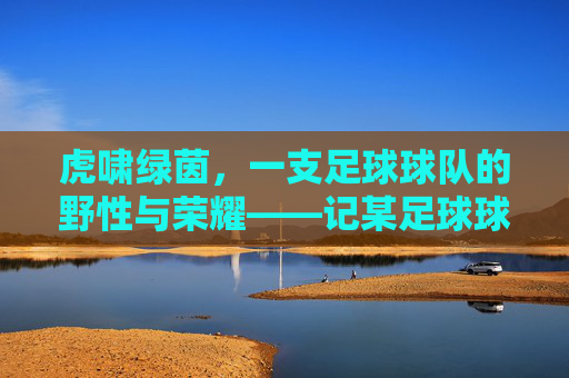 虎啸绿茵，一支足球球队的野性与荣耀——记某足球球队的成长轨迹与精神传承，虎啸绿茵，一支足球球队的野性与荣耀——记某足球球队的成长轨迹与精神传承
