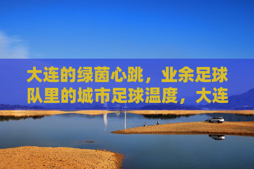 大连的绿茵心跳，业余足球队里的城市足球温度，大连的绿茵心跳，业余足球队里的城市足球温度