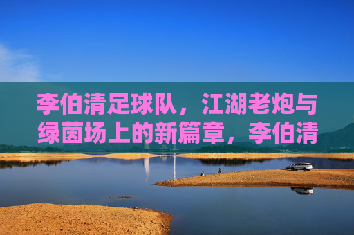 李伯清足球队，江湖老炮与绿茵场上的新篇章，李伯清足球队，江湖老炮与绿茵场上的新篇章