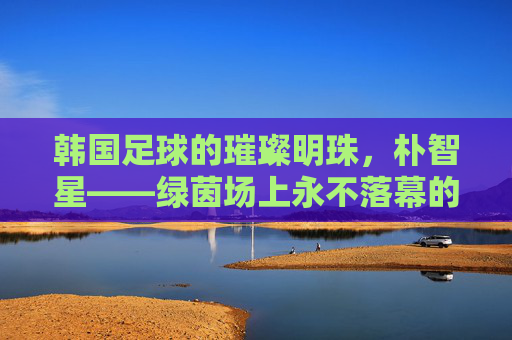 韩国足球的璀璨明珠，朴智星——绿茵场上永不落幕的小飞侠，韩国足球的璀璨明珠，朴智星——绿茵场上永不落幕的小飞侠