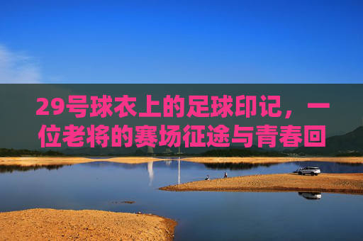 29号球衣上的足球印记,一位老将的赛场征途与青春回响,29号球衣上的足球印记,一位老将的赛场征途与青春回响