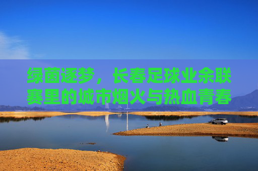 绿茵逐梦，长春足球业余联赛里的城市烟火与热血青春，绿茵逐梦，长春足球业余联赛里的城市烟火与热血青春