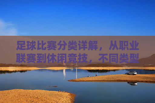 足球比赛分类详解，从职业联赛到休闲竞技，不同类型比赛的特点与魅力