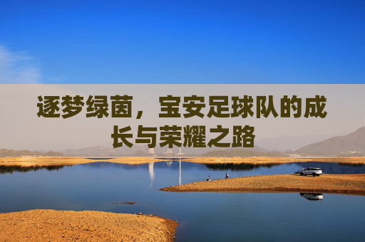 逐梦绿茵，宝安足球队的成长与荣耀之路