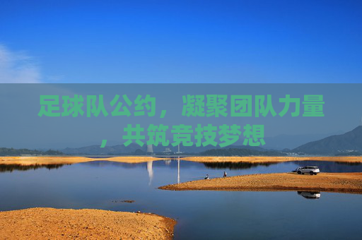 足球队公约,凝聚团队力量,共筑竞技梦想