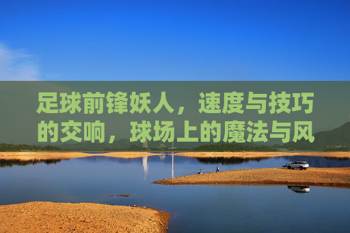 足球前锋妖人，速度与技巧的交响，球场上的魔法与风暴，足球前锋妖人，速度与技巧的交响，球场上的魔法与风暴
