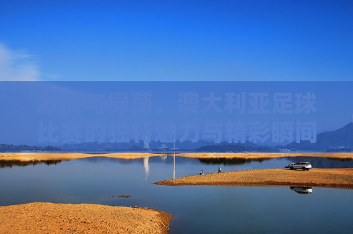 激情与绿茵,澳大利亚足球比赛的独特魅力与精彩瞬间