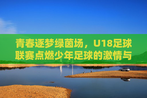 青春逐梦绿茵场，U18足球联赛点燃少年足球的激情与希望，青春逐梦绿茵场，U18足球联赛点燃少年足球的激情与希望