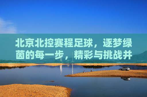 北京北控赛程足球，逐梦绿茵的每一步，精彩与挑战并存，北京北控足球赛程，逐梦绿茵的每一步，精彩与挑战的交织