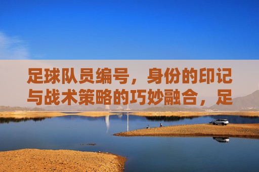足球队员编号,身份的印记与战术策略的巧妙融合,足球队员编号,身份印记与战术策略的巧妙融合