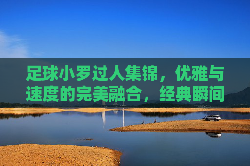 足球小罗过人集锦，优雅与速度的完美融合，经典瞬间永载足坛，足球小罗过人集锦，优雅与速度的完美融合，经典瞬间永载足坛