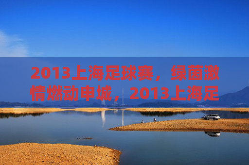 2013上海足球赛，绿茵激情燃动申城，2013上海足球赛，绿茵激情燃动申城