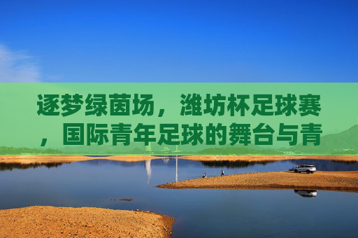 逐梦绿茵场,潍坊杯足球赛,国际青年足球的舞台与青春的交响,逐梦绿茵场,潍坊杯足球赛,国际青年足球的舞台与青春交响
