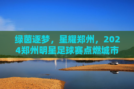 绿茵逐梦,星耀郑州,2024郑州明星足球赛点燃城市足球热情,绿茵逐梦,星耀郑州,2024郑州明星足球赛点燃城市足球热情