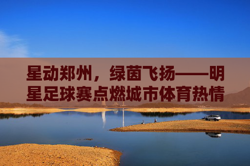 星动郑州，绿茵飞扬——明星足球赛点燃城市体育热情，星动郑州，绿茵飞扬——明星足球赛点燃城市体育热情