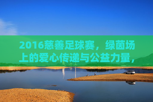 2016慈善足球赛,绿茵场上的爱心传递与公益力量,2016慈善足球赛,绿茵场上的爱心传递与公益力量