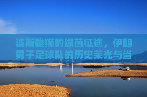波斯雄狮的绿茵征途,伊朗男子足球队的历史荣光与当代竞技风采,波斯雄狮的绿茵征途,伊朗男子足球队的历史荣光与当代竞技风采