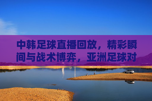 中韩足球直播回放,精彩瞬间与战术博弈,亚洲足球对决的激情与智慧,中韩足球对决,精彩瞬间与战术博弈的激情与智慧