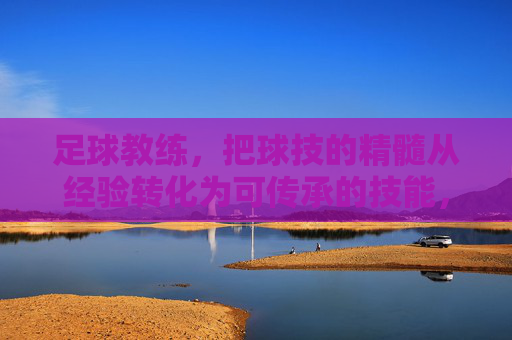 足球教练，把球技的精髓从经验转化为可传承的技能，足球教练，把球技的精髓从经验转化为可传承的技能