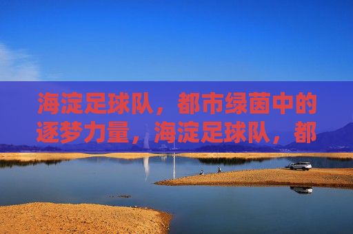海淀足球队,都市绿茵中的逐梦力量,海淀足球队,都市绿茵中的逐梦力量