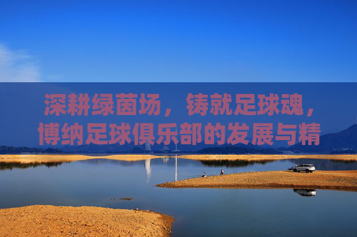 深耕绿茵场，铸就足球魂，博纳足球俱乐部的发展与精神传承，深耕绿茵场，铸就足球魂，博纳足球俱乐部的发展与精神传承
