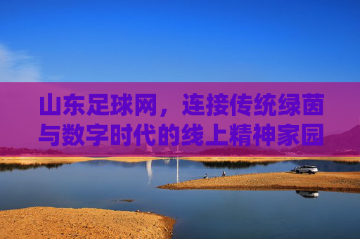 山东足球网,连接传统绿茵与数字时代的线上精神家园,山东足球网,连接传统绿茵与数字时代的线上精神家园