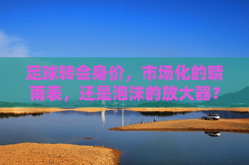 足球转会身价,市场化的晴雨表,还是泡沫的放大器?——从数据看球员价值的真实性与市场逻辑,足球转会身价,市场化的晴雨表,还是泡沫的放大器?——从数据看球员价值的真实性与市场逻辑