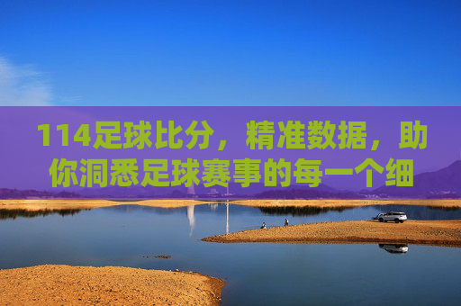 114足球比分，精准数据，助你洞悉足球赛事的每一个细节，114足球比分，精准数据，助你洞悉足球赛事的每一个细节