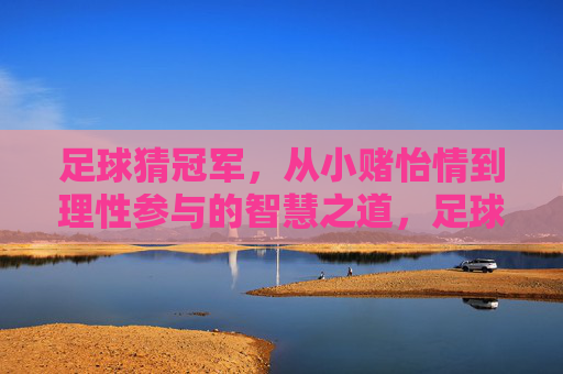 足球猜冠军,从小赌怡情到理性参与的智慧之道,足球猜冠军,从小赌怡情到理性参与的智慧之道