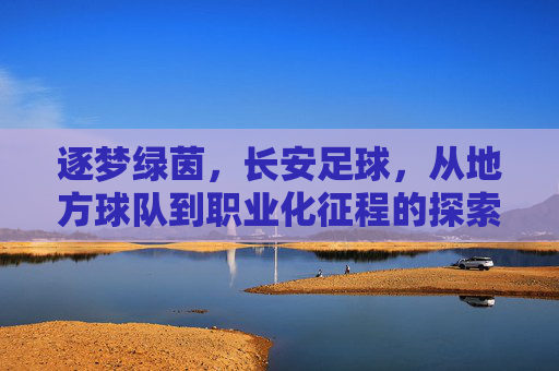 逐梦绿茵，长安足球，从地方球队到职业化征程的探索与展望，逐梦绿茵，长安足球，从地方球队到职业化征程的探索与展望