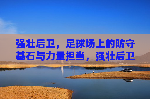 强壮后卫,足球场上的防守基石与力量担当,强壮后卫,足球场上的防守基石与力量担当