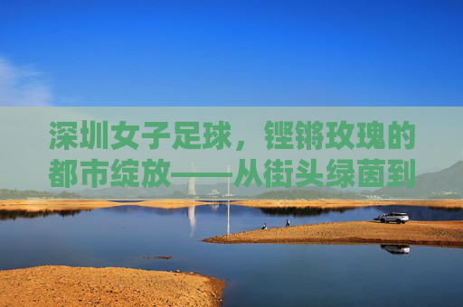 深圳女子足球，铿锵玫瑰的都市绽放——从街头绿茵到职业舞台的奋斗之路，深圳女子足球，铿锵玫瑰的都市绽放——从街头绿茵到职业舞台的奋斗之路