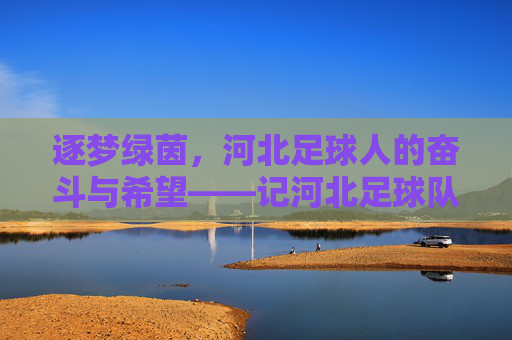 逐梦绿茵，河北足球人的奋斗与希望——记河北足球队员的不懈追求，逐梦绿茵，河北足球人的奋斗与希望——记河北足球队员的不懈追求