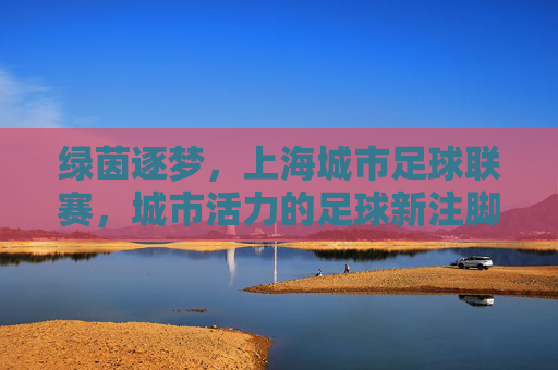 绿茵逐梦,上海城市足球联赛,城市活力的足球新注脚,绿茵逐梦,上海城市足球联赛,城市活力的足球新注脚
