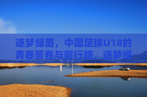 逐梦绿茵，中国足球U18的青春答卷与前行路，逐梦绿茵，中国足球U18的青春答卷与前行路