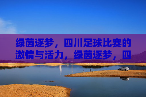 绿茵逐梦，四川足球比赛的激情与活力，绿茵逐梦，四川足球比赛的激情与活力