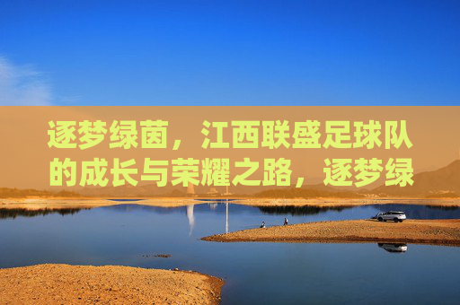 逐梦绿茵,江西联盛足球队的成长与荣耀之路,逐梦绿茵,江西联盛足球队的成长与荣耀之路