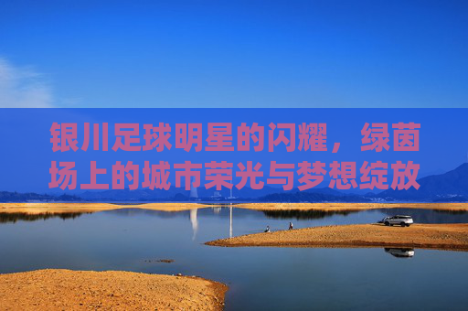 银川足球明星的闪耀，绿茵场上的城市荣光与梦想绽放