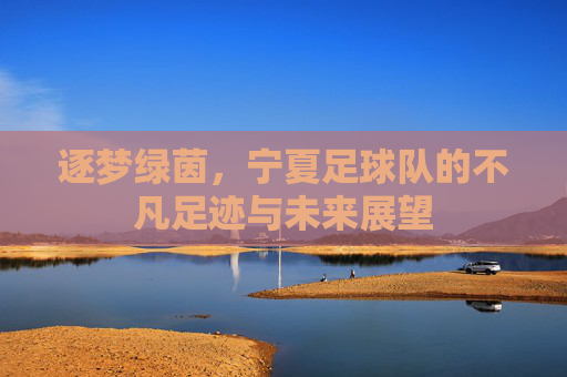 逐梦绿茵,宁夏足球队的不凡足迹与未来展望
