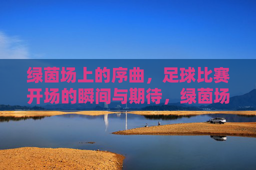 绿茵场上的序曲,足球比赛开场的瞬间与期待,绿茵场上的序曲,足球比赛开场的瞬间与期待