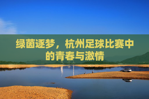 绿茵逐梦,杭州足球比赛中的青春与激情