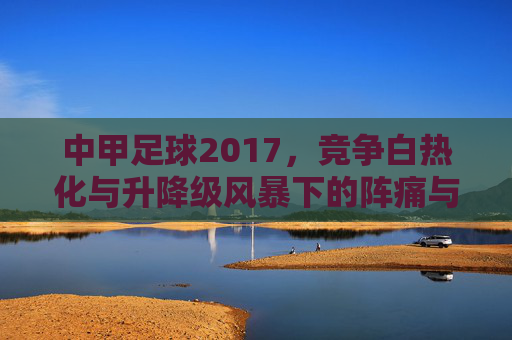 中甲足球2017，竞争白热化与升降级风暴下的阵痛与希望
