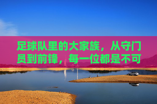 足球队里的大家族，从守门员到前锋，每一位都是不可或缺的战士，足球队里的大家族，从守门员到前锋，每一位都是不可或缺的战士